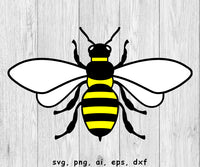 Bee, Bees - SVG, PNG, AI, EPS, DXF Files for Cut Projects