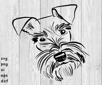 schnauzer dog doodle